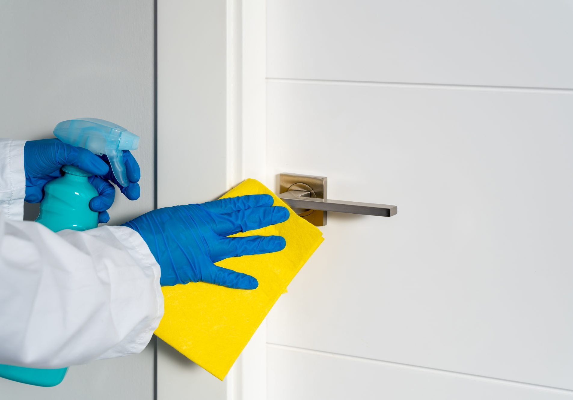carpet cleaning